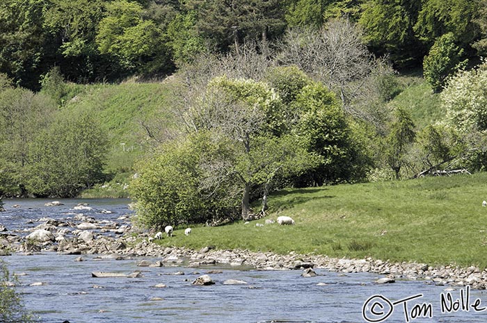 Scotland_20070526_0823_051_2X