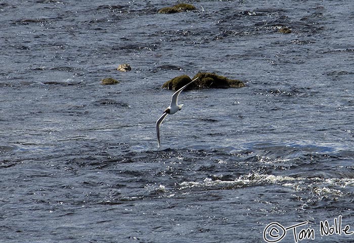 Scotland_20070527_1127_260_2X