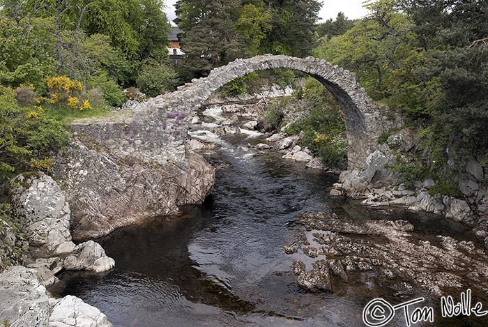 Scotland_20070528_0417_304_20