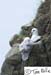 Scotland_20070524_0611_312_2X