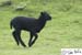 Scotland_20070524_0940_022_2X