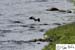 Scotland_20070527_1120_219_2X