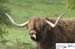 Scotland_20070528_1314_286_2X