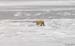 PB07_20071108_120716_205_2X