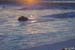 PB07_20071109_175326_377_2X