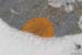 PB07_20071110_132534_413_20