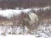PB07_20071111_121604_709_2X