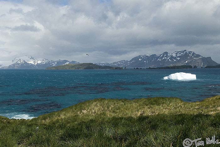 Antarctica_20080116_074516_971_20