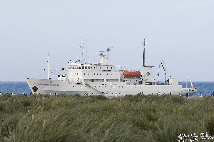 Antarctica_20080116_152838_523_2X