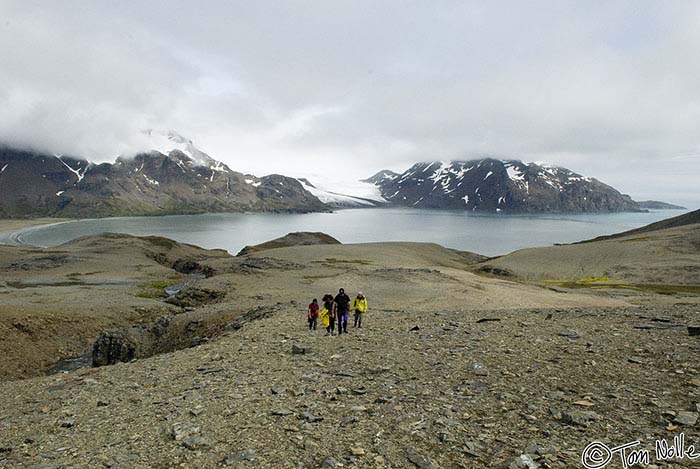 Antarctica_20080117_075408_104_20