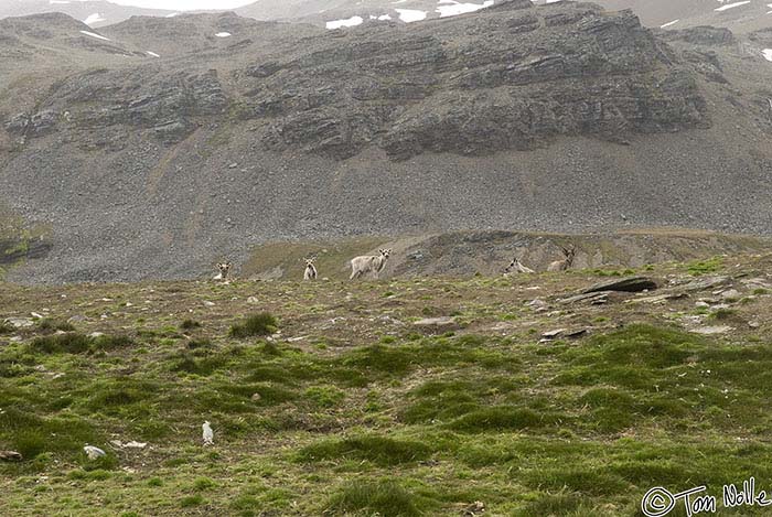 Antarctica_20080117_103804_136_20