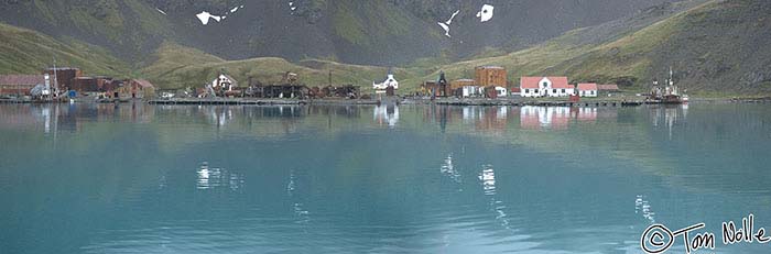 Antarctica_20080117_183948_186_20