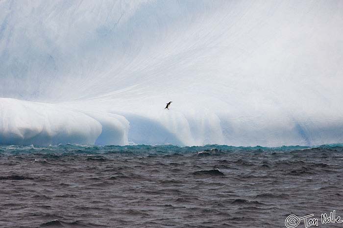 Antarctica_20080118_093920_104_2X