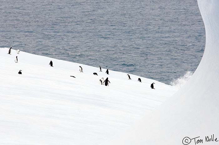 Antarctica_20080118_094028_124_2X
