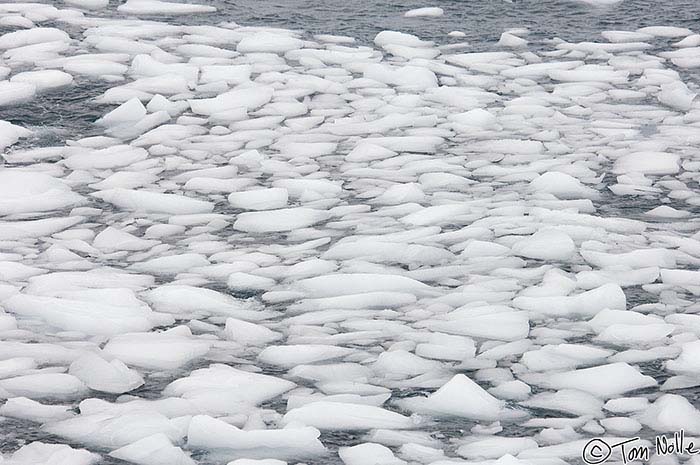 Antarctica_20080118_095348_195_2X