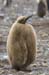 Antarctica_20080115_133838_916_2X