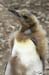 Antarctica_20080115_133944_918_2X