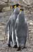 Antarctica_20080115_135402_965_2X