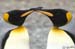 Antarctica_20080115_135738_969_2X