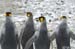 Antarctica_20080115_135922_980_2X