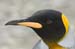 Antarctica_20080115_140040_984_2X