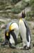 Antarctica_20080115_140312_987_2X