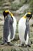 Antarctica_20080115_140326_988_2X