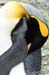 Antarctica_20080115_140802_000_2X
