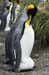 Antarctica_20080115_142338_033_2X