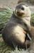 Antarctica_20080115_142744_037_2X