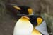 Antarctica_20080115_145940_097_2X