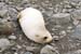 Antarctica_20080115_150900_947_20