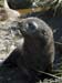 Antarctica_20080116_073312_965_20