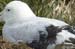 Antarctica_20080116_075018_204_2X