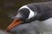 Antarctica_20080116_082052_261_2X