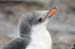 Antarctica_20080116_082112_268_2X