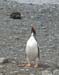 Antarctica_20080116_082240_297_2X