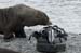Antarctica_20080116_082526_318_2X