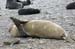 Antarctica_20080116_082552_323_2X