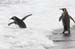 Antarctica_20080116_143418_377_2X