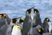 Antarctica_20080116_144258_433_2X