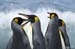 Antarctica_20080116_144738_436_2X
