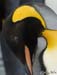 Antarctica_20080116_144816_438_2X