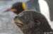 Antarctica_20080116_145418_447_2X