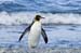 Antarctica_20080116_150640_489_2X