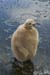 Antarctica_20080116_154358_039_20