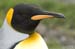 Antarctica_20080116_160548_597_2X