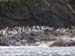 Antarctica_20080118_072800_022_S