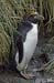 Antarctica_20080118_073338_836_2X