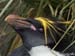 Antarctica_20080118_073408_850_2X